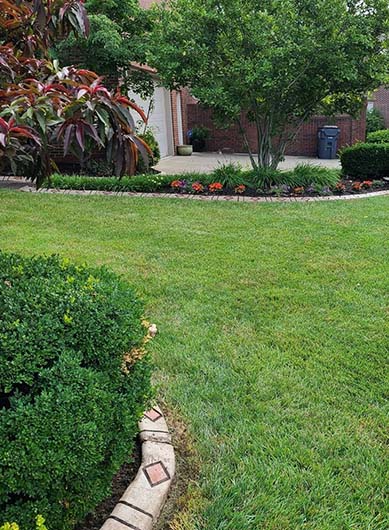 Decorative Concrete Curbing   Curbing Service Vertical Image 1 